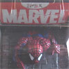 Spiderman 3D Memory Card